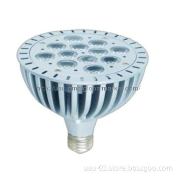 12x1W PAR38 LED Spotlight